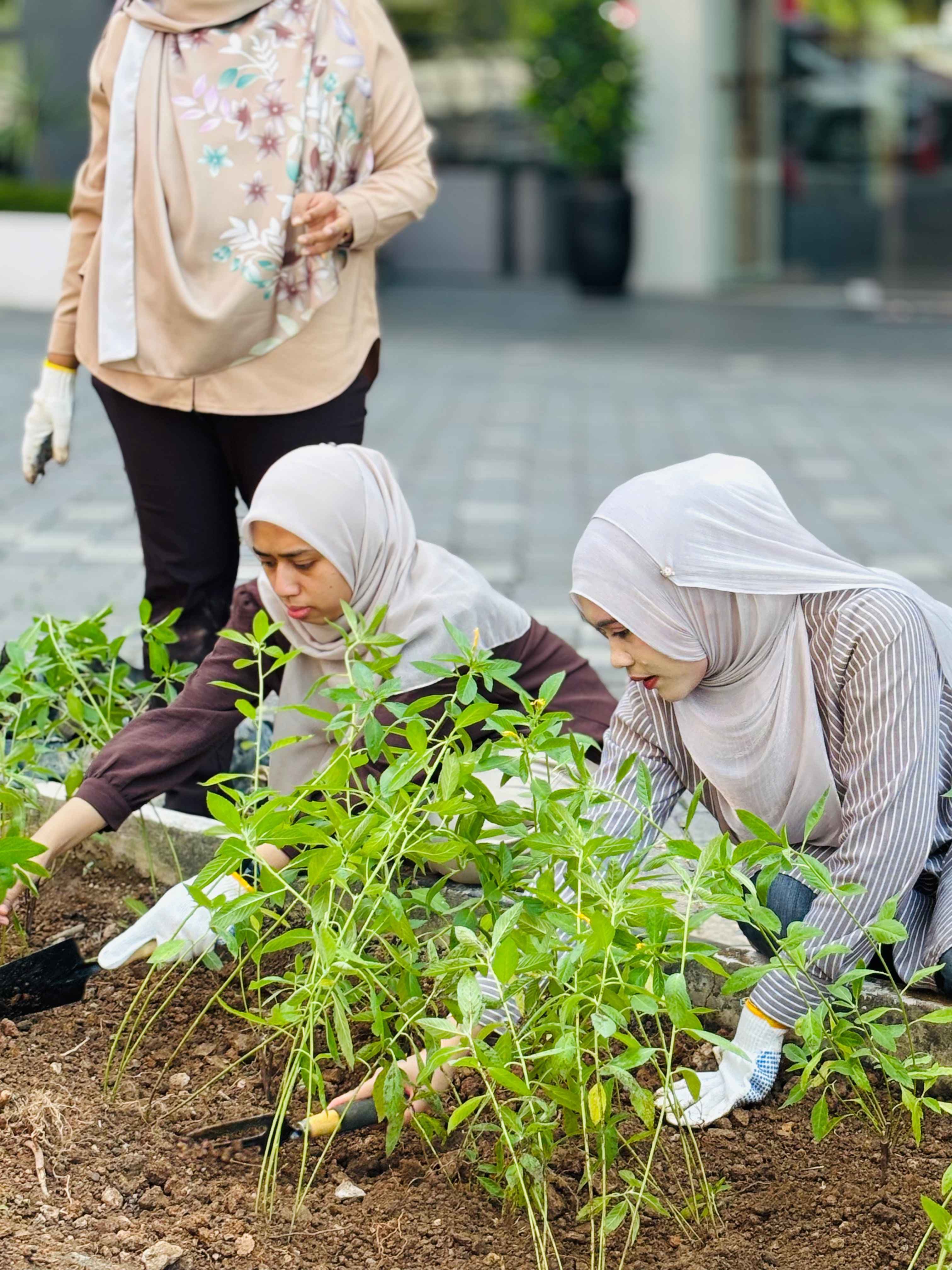 PBSB team planting trees on Earth Day 2026